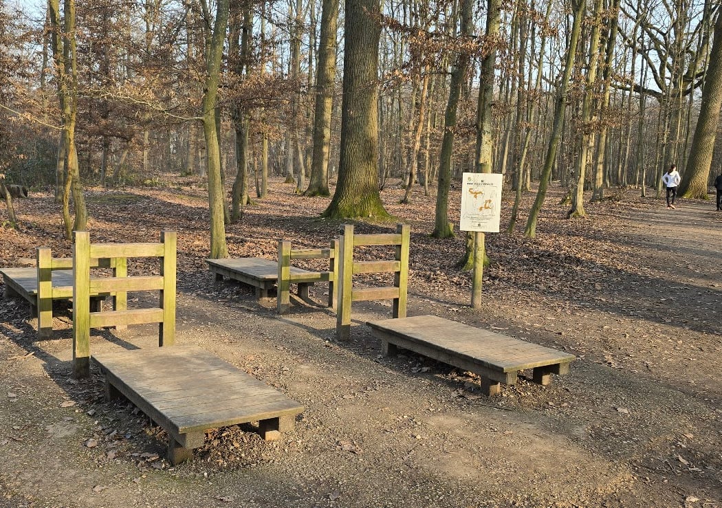 Sentier sportif sylvestre 1